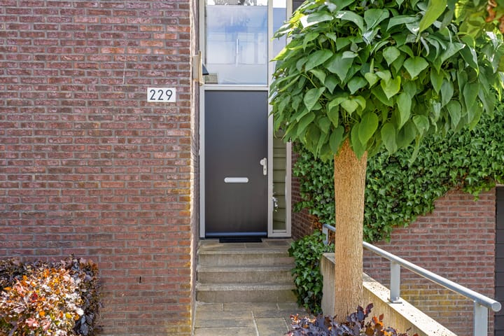 Foto 5 van Goudplevierstraat 229