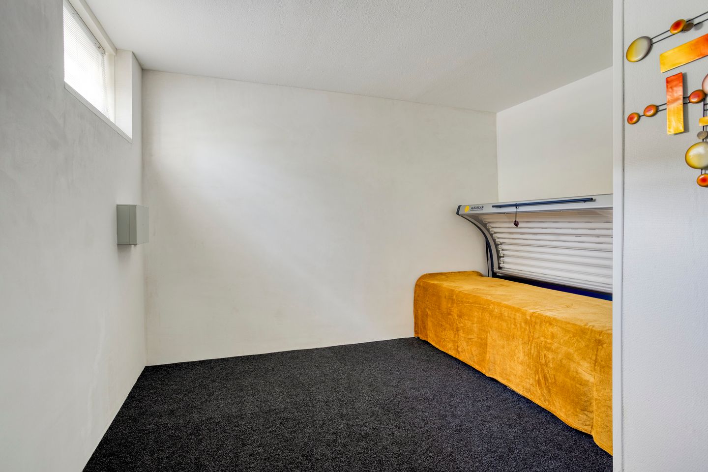 Foto 20 van Goudplevierstraat 229