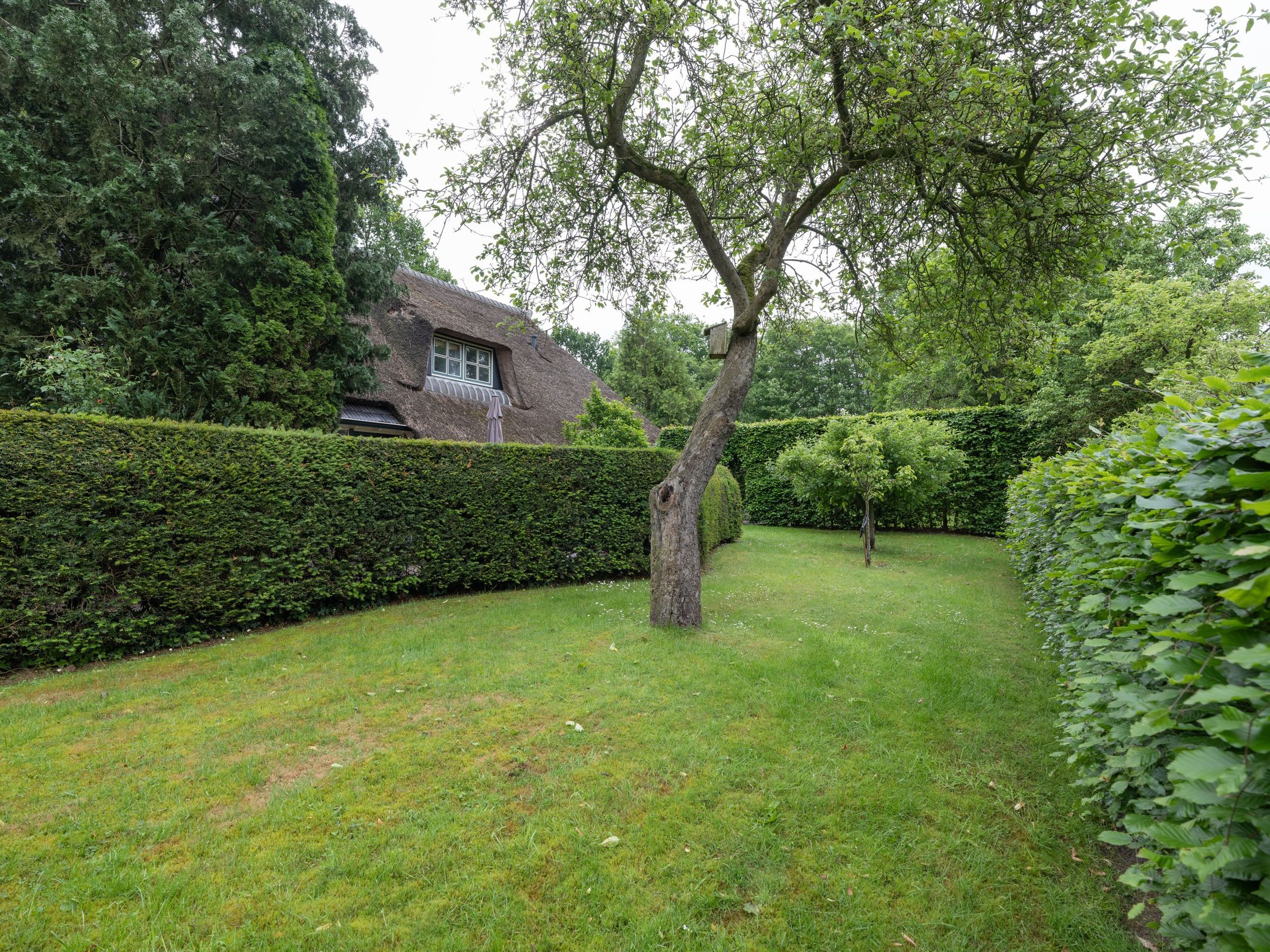 Foto 69 van Alde Wei 2