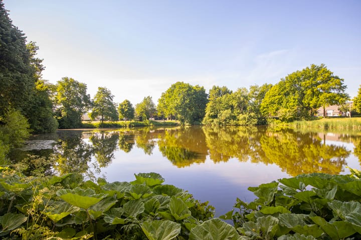 Foto 28 van Spinderweg 115