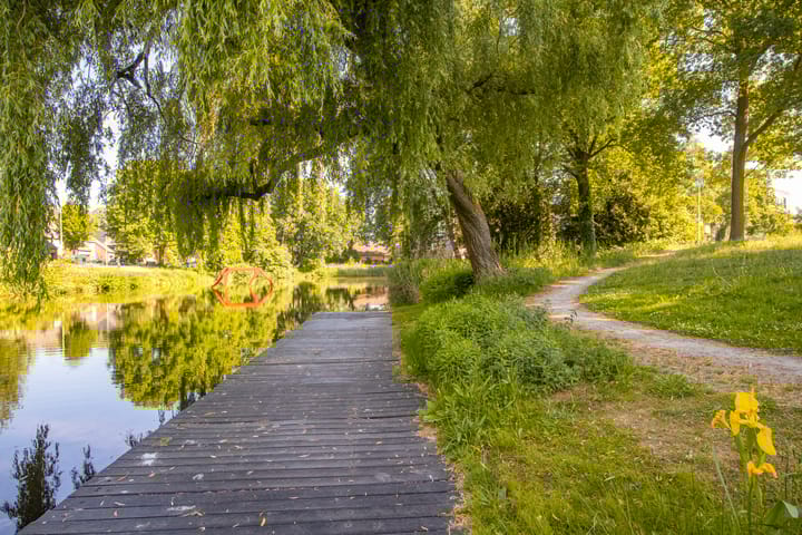 Foto 29 van Spinderweg 115