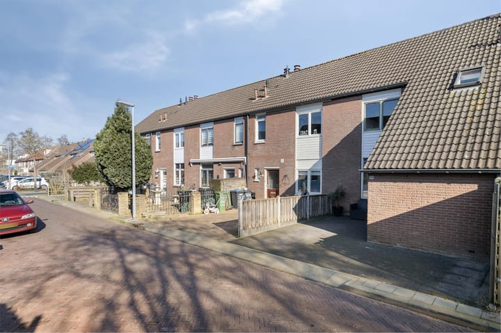 Foto 4 van Ringdijk 366