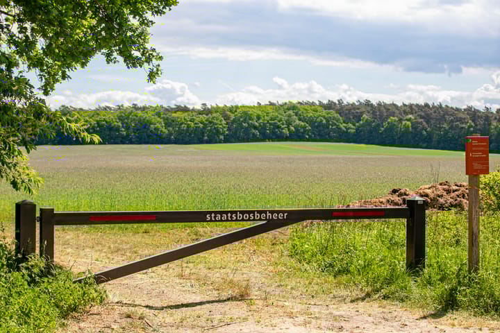 Foto 30 van Paalbergweg 16-B