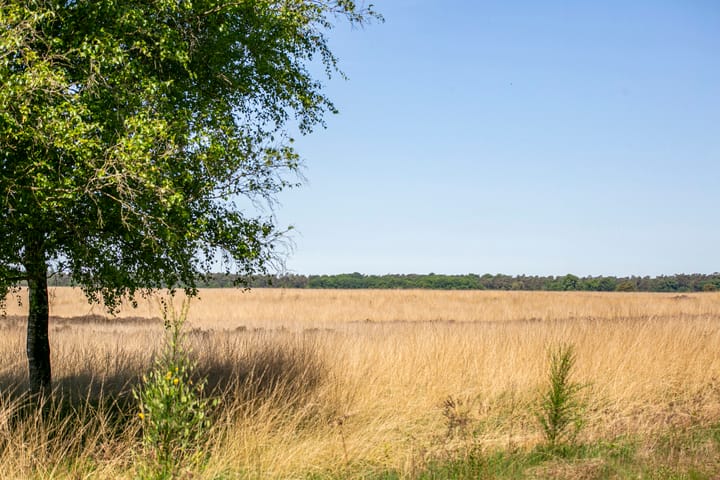 Foto 31 van Paalbergweg 16-B