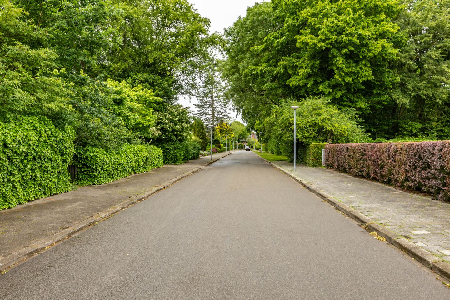 Foto 5 van Thorbeckelaan 66