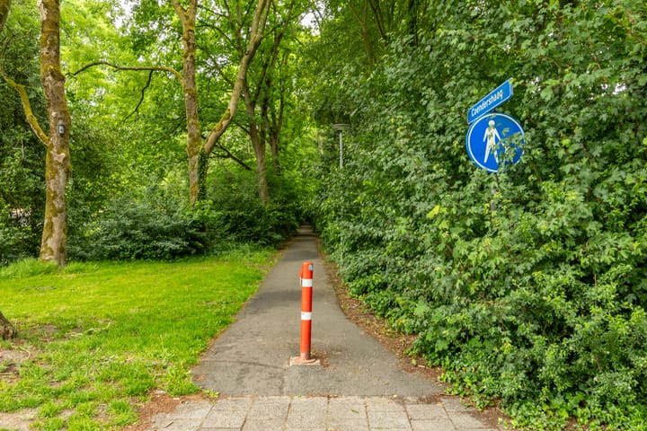 Photo 6 of Thorbeckelaan 66