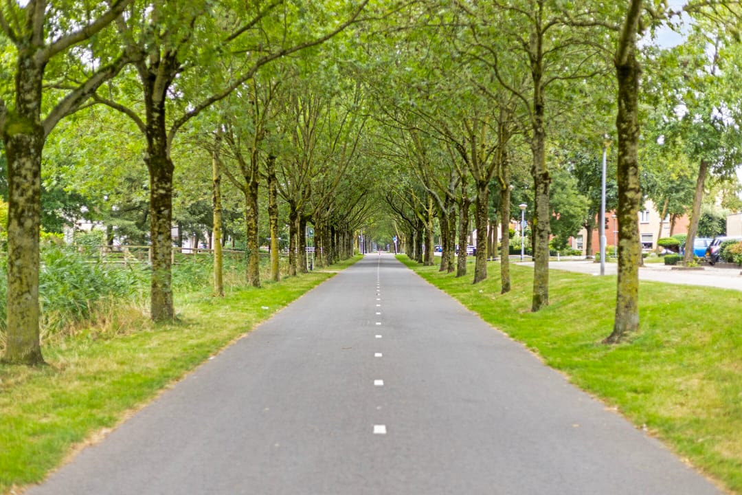 Foto 43 van Dukaatstraat 18