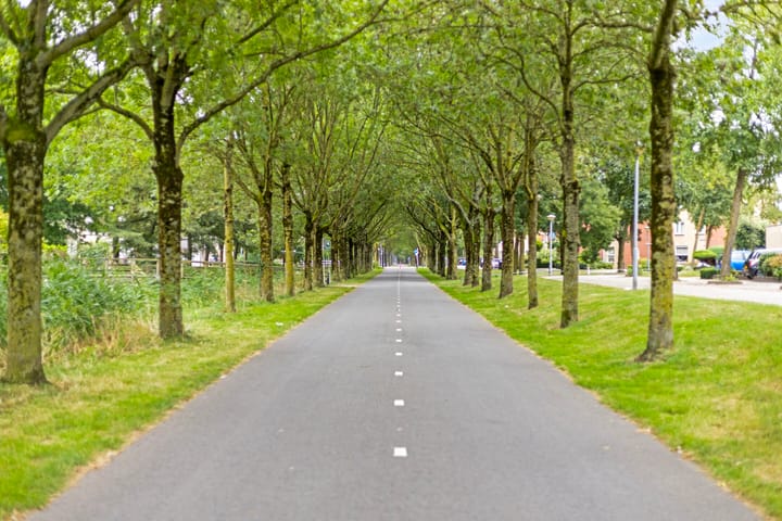 Foto 43 van Dukaatstraat 18