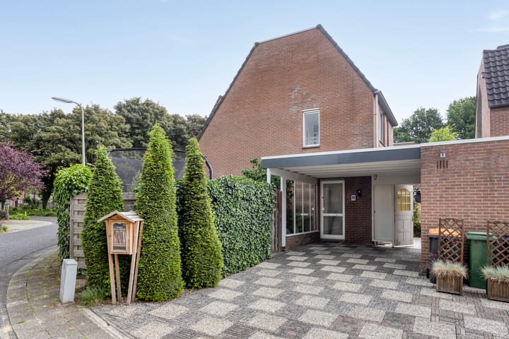 Zilverschoon 12