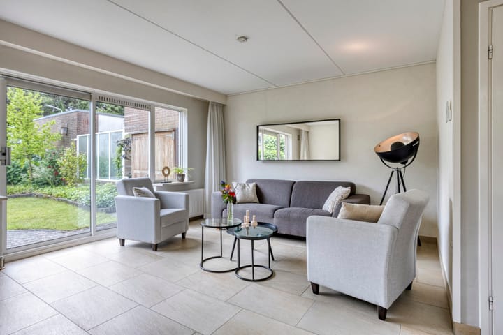 Foto 4 van Zilverschoon 12