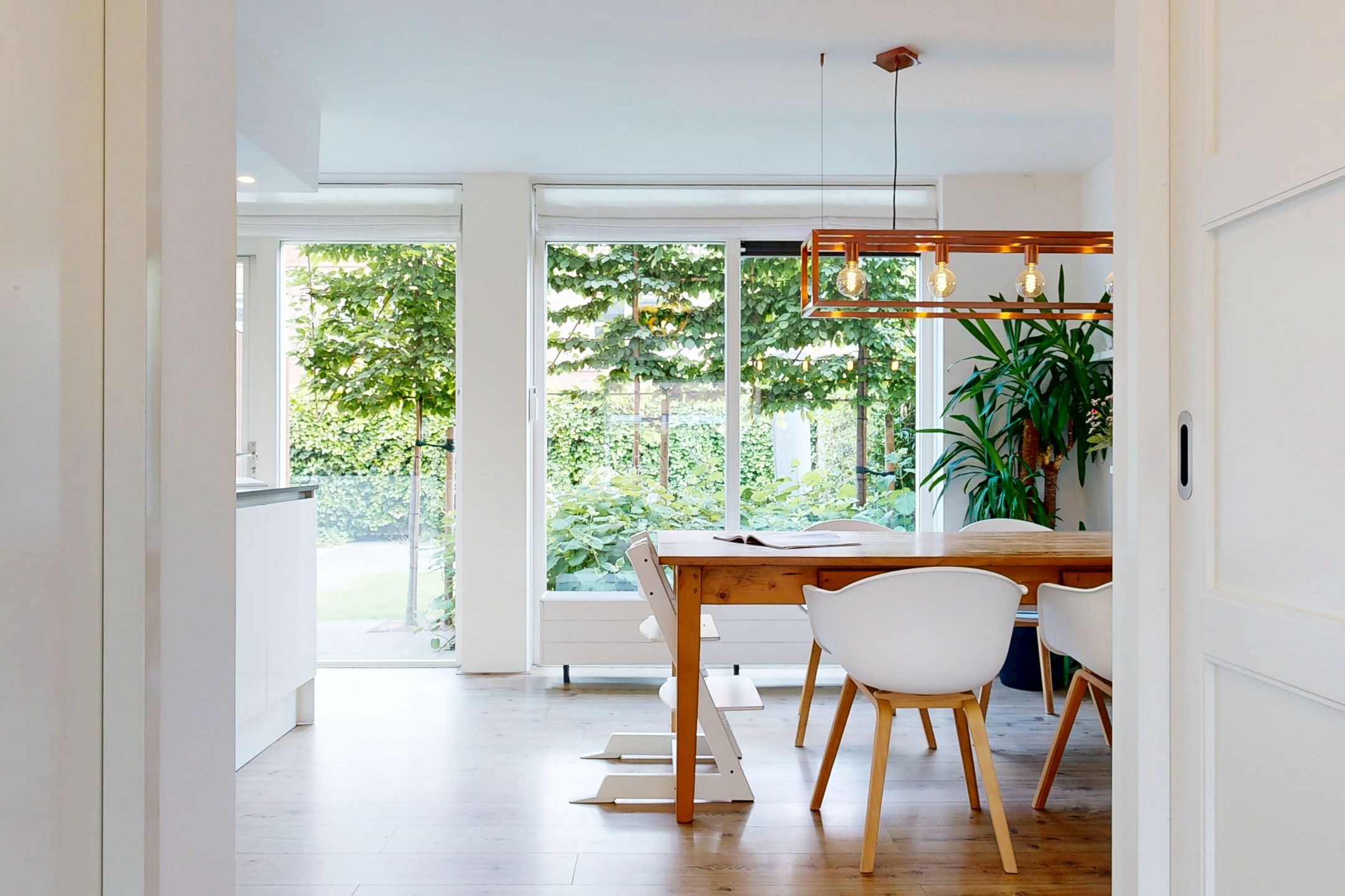 Foto 6 van Citroenvlinder 9