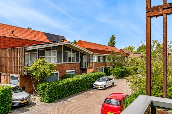 Foto 25 van Citroenvlinder 9