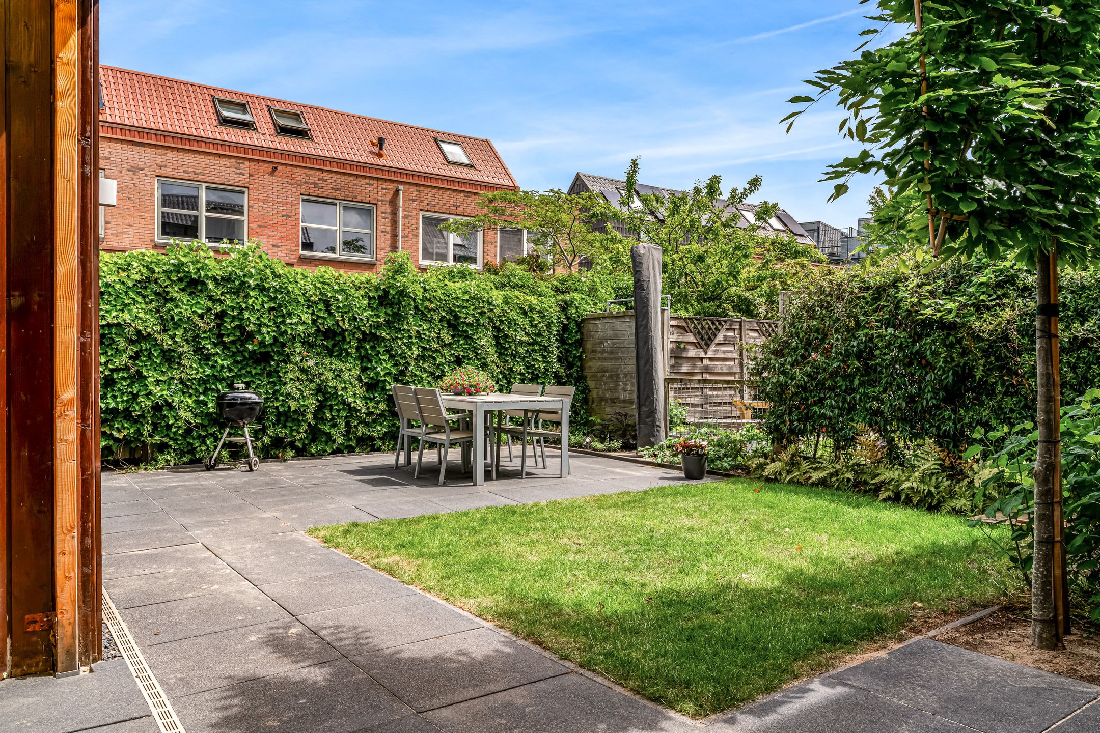 Foto 36 van Citroenvlinder 9