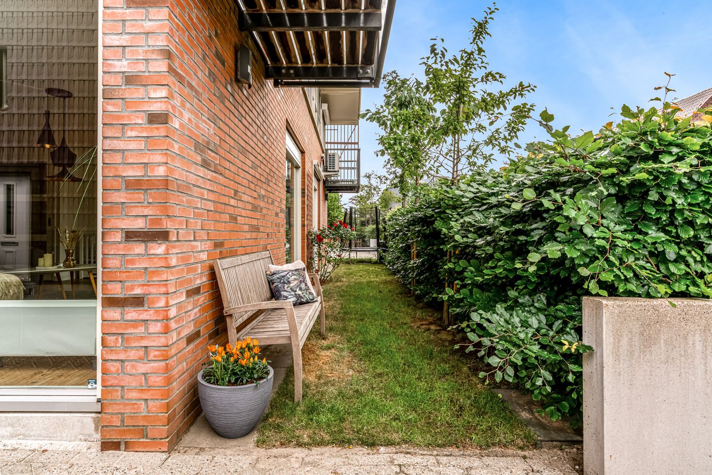 Foto 44 van Citroenvlinder 9