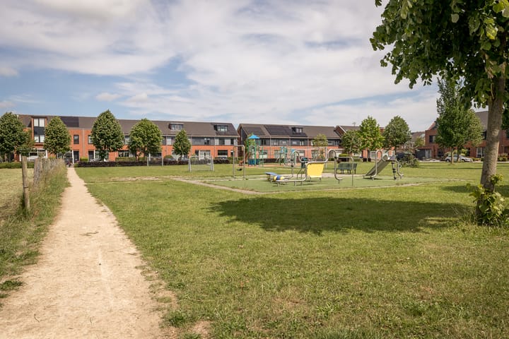 Foto 4 van Scholekster 22