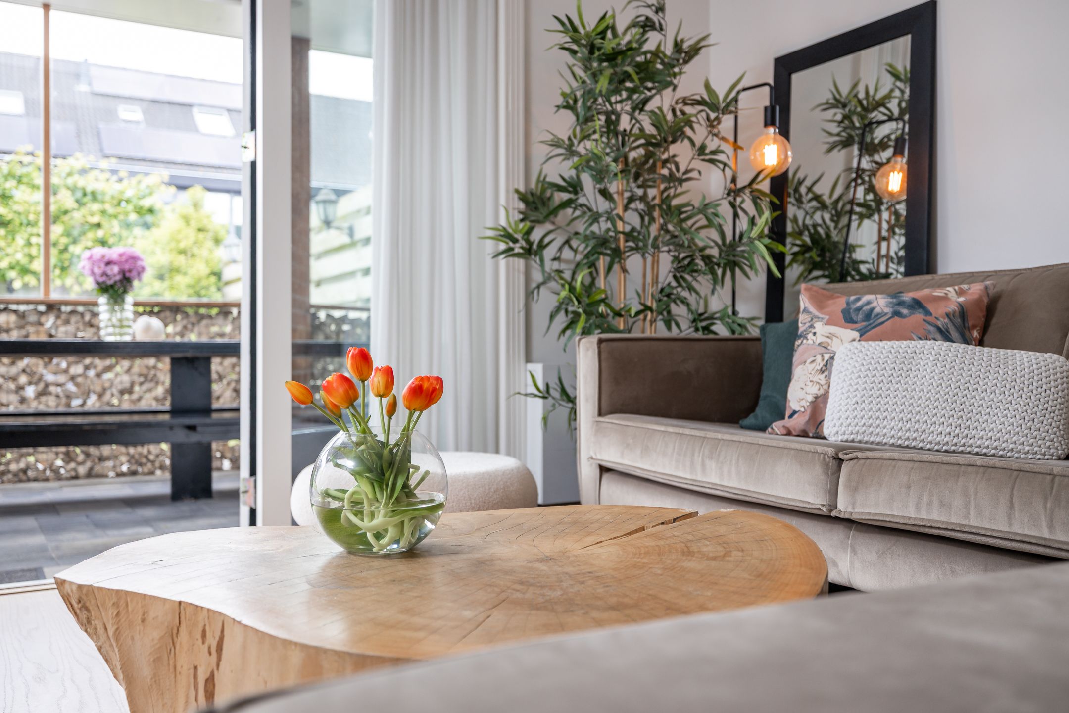 Foto 18 van Scholekster 22