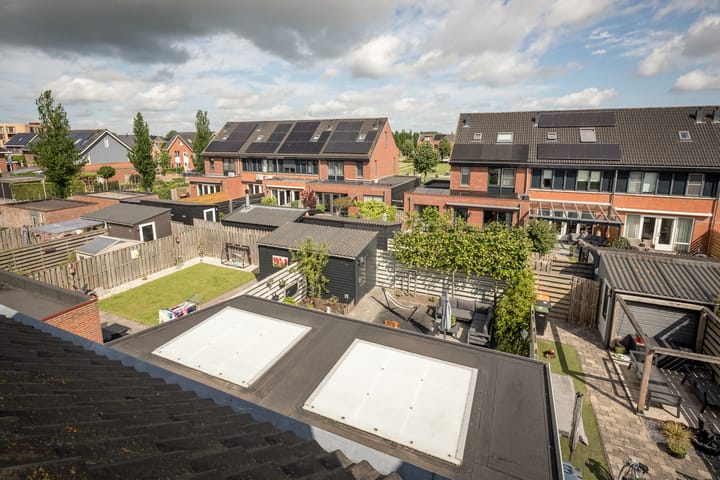 Foto 32 van Scholekster 22