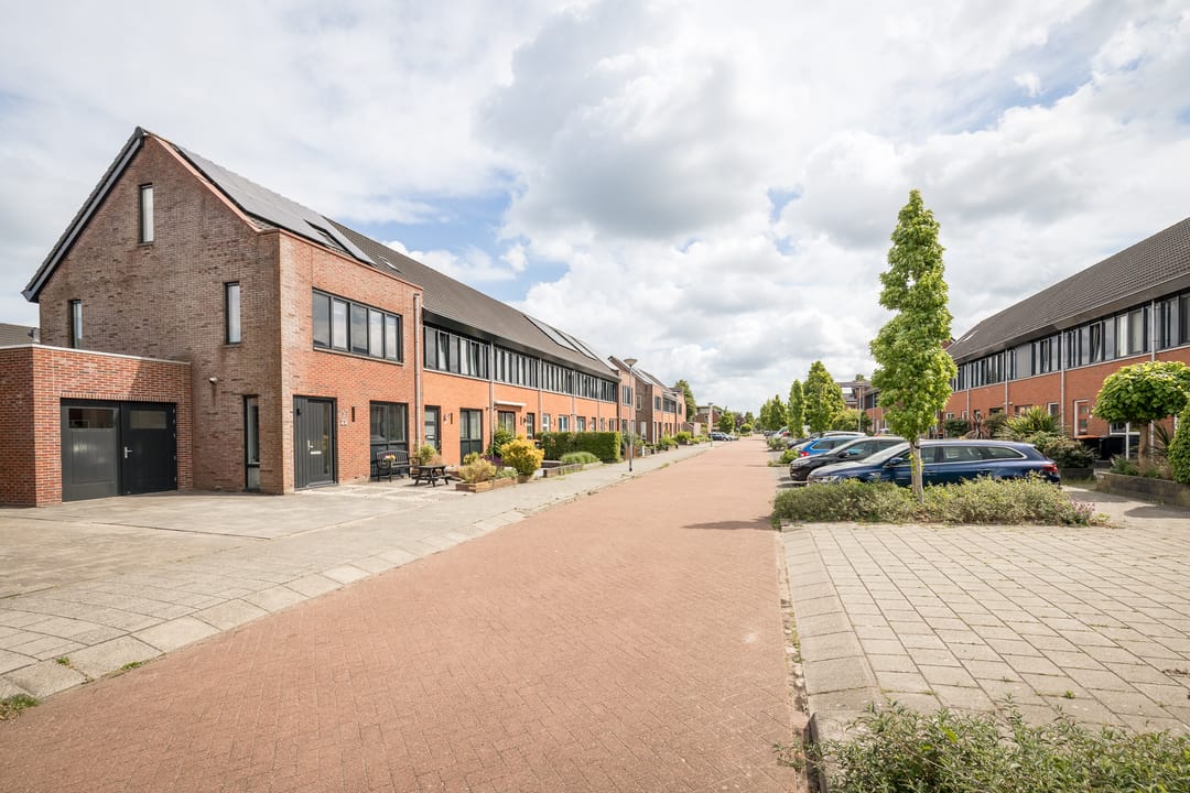 Foto 46 van Scholekster 22