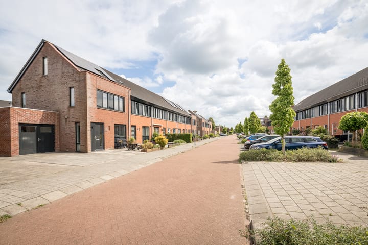 Foto 46 van Scholekster 22