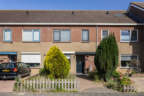 undefined main image