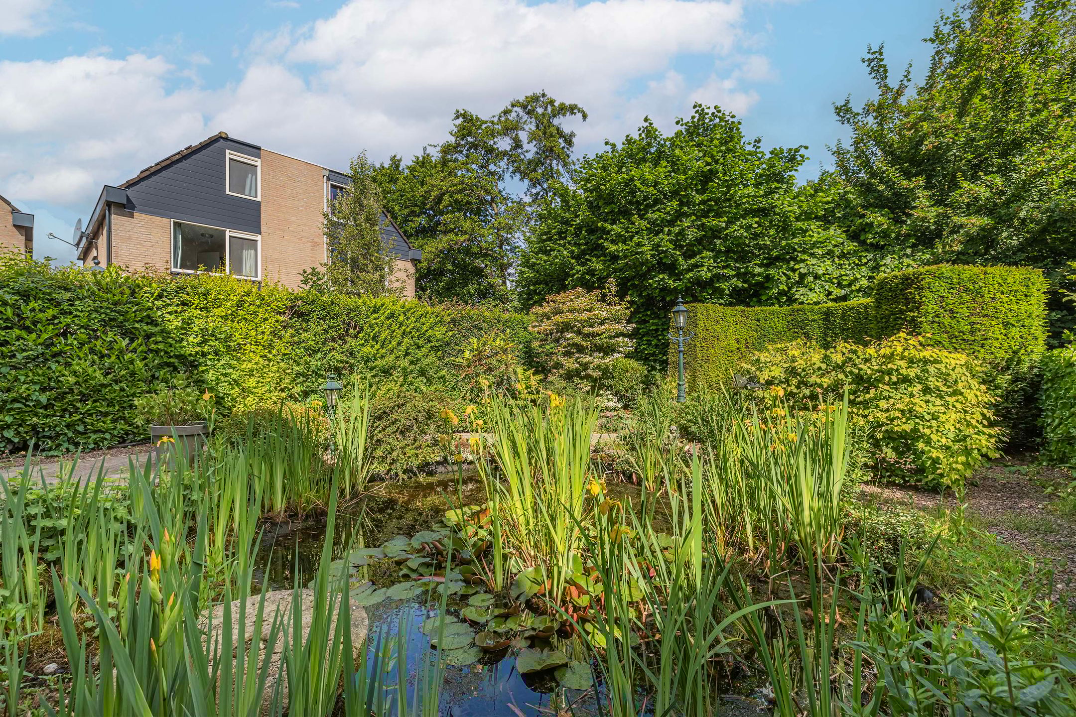 Photo 36 of Postmeesterwei 1