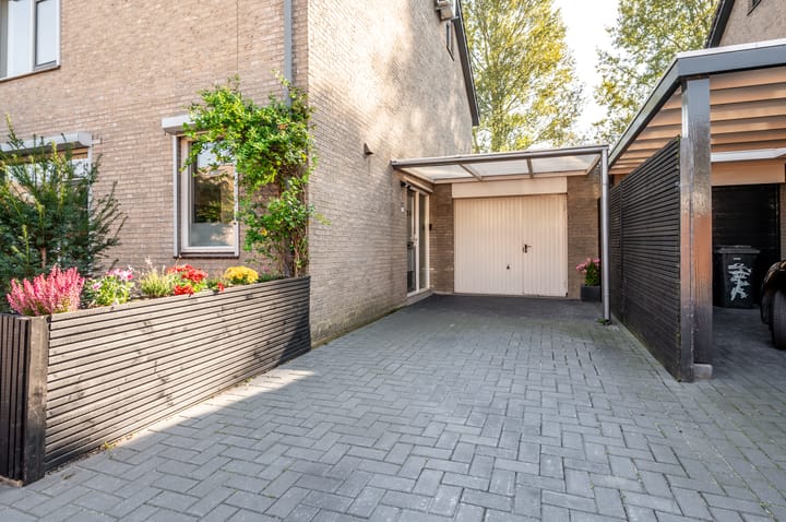 Foto 2 van Griend 12 18