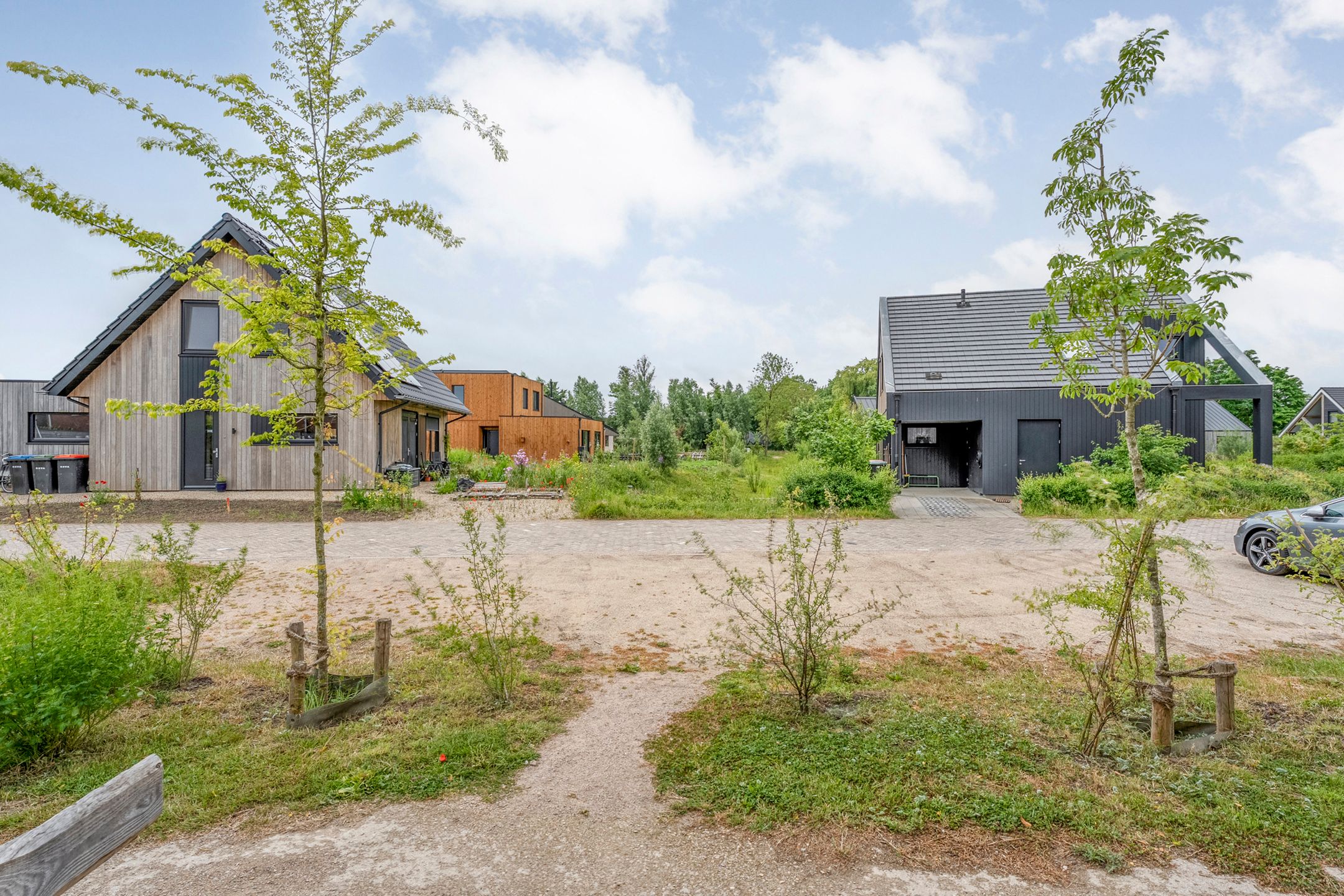 Foto 9 van Rietgors 43