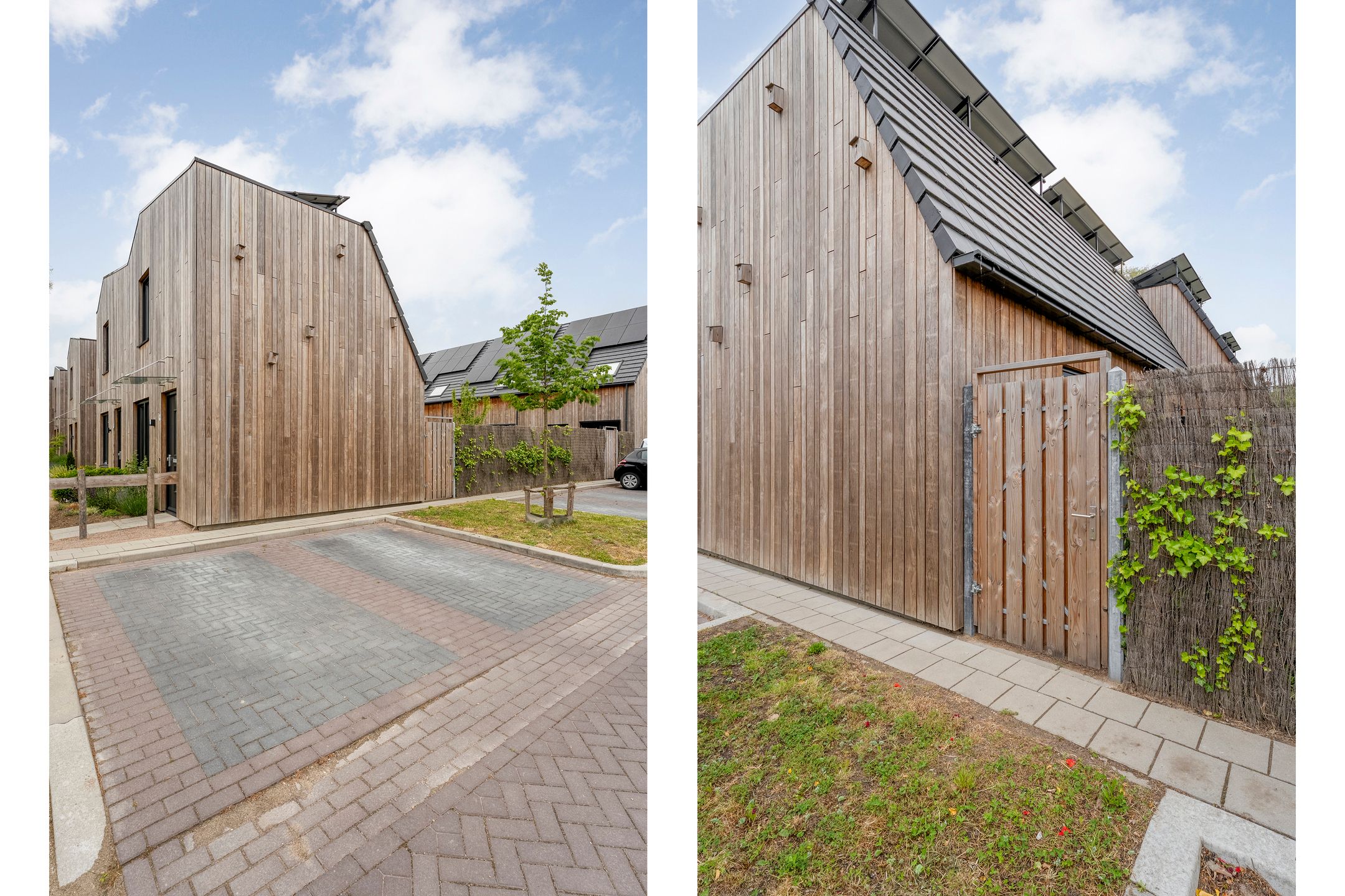 Foto 27 van Rietgors 43