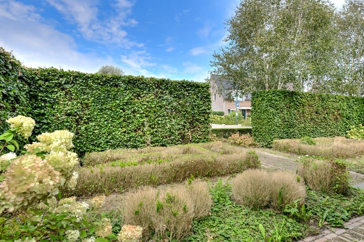 Foto 39 van Provincialeweg 146