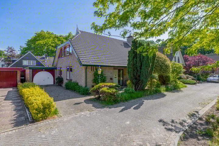 Foto 5 van De Twee Gebroeders 45