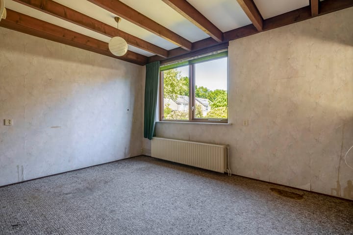 Foto 15 van De Twee Gebroeders 45