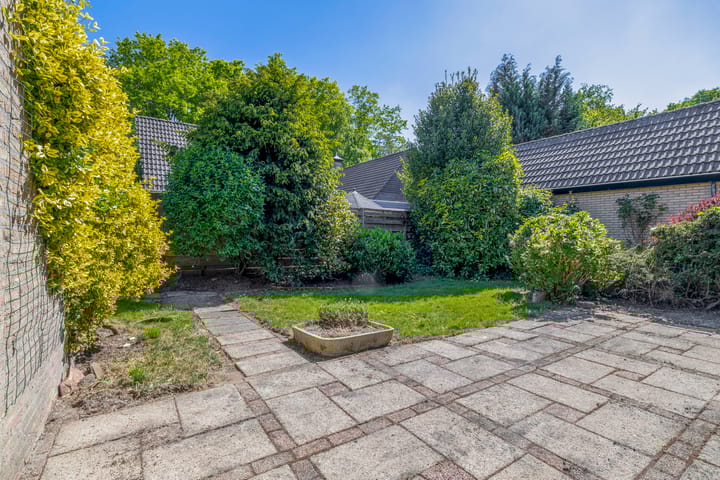 Foto 33 van De Twee Gebroeders 45