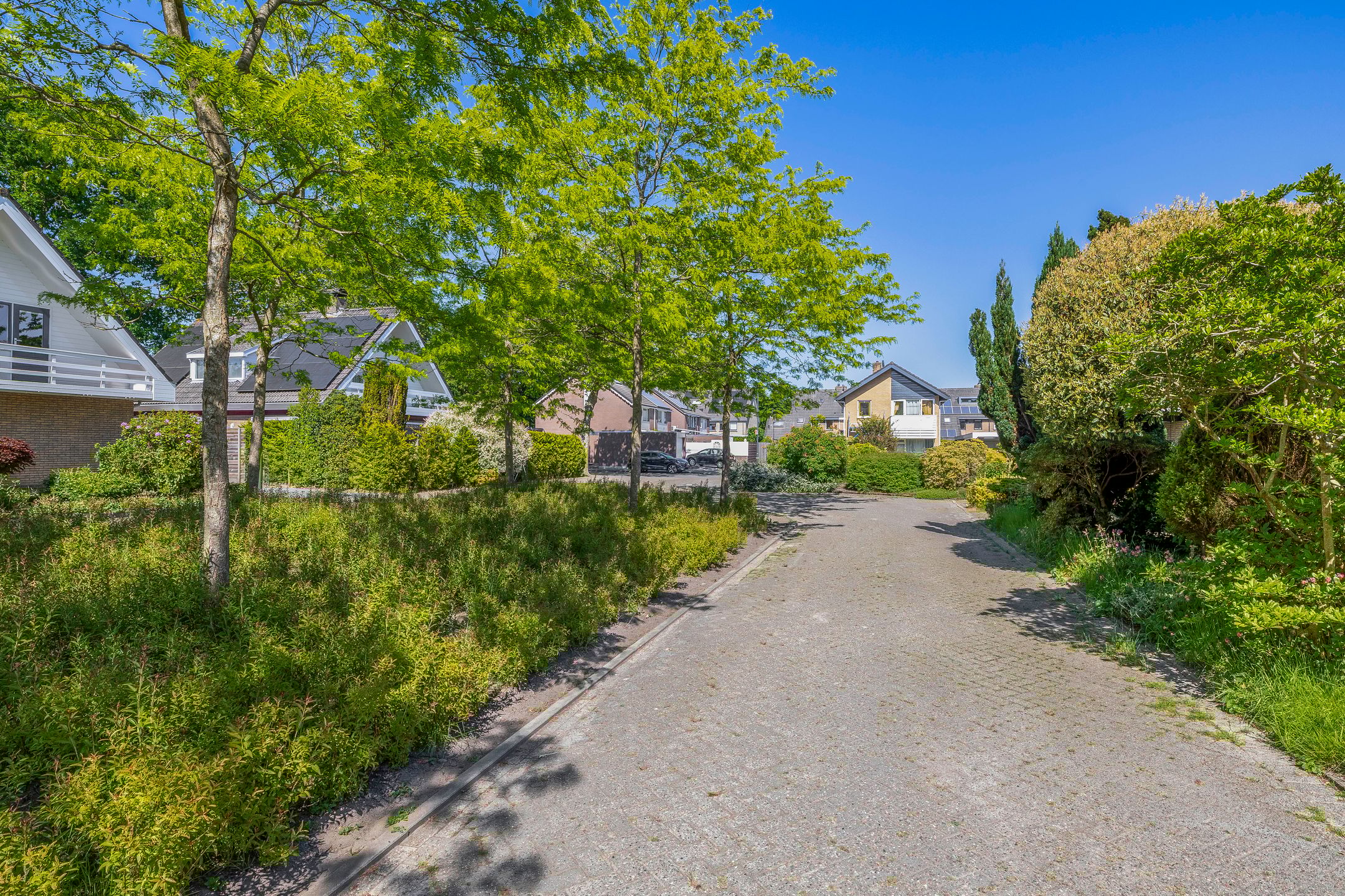 Foto 57 van De Twee Gebroeders 45