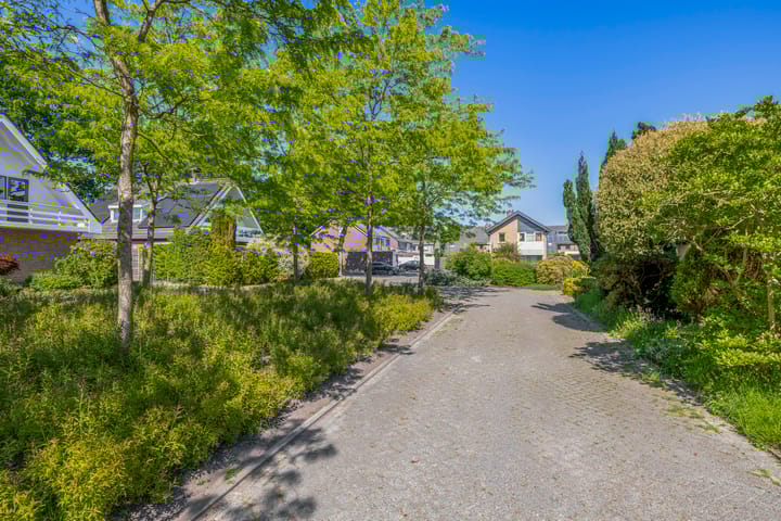 Foto 57 van De Twee Gebroeders 45