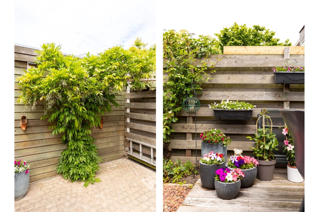 Foto 26 van Anna Bijnsstraat 16