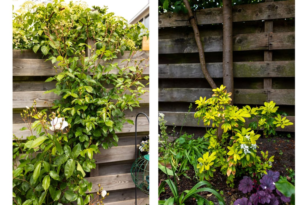 Foto 28 van Anna Bijnsstraat 16