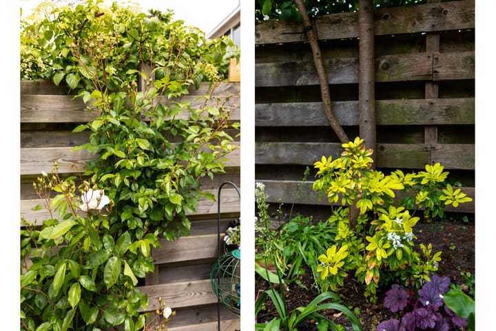 Foto 28 van Anna Bijnsstraat 16