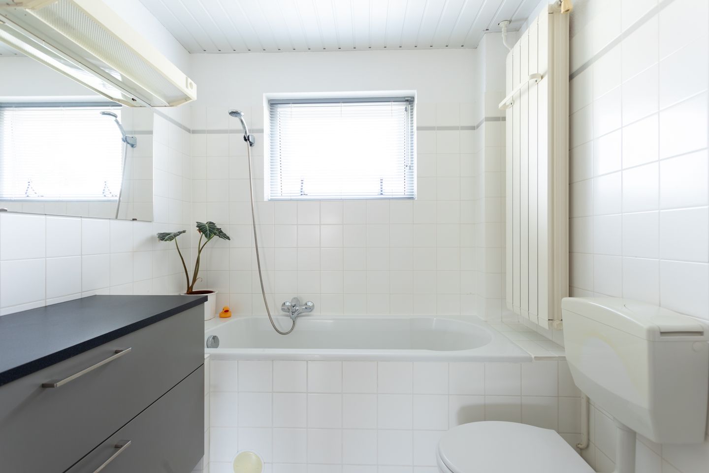 Foto 40 van Anna Bijnsstraat 16