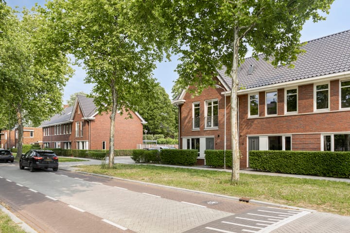 Foto 35 van Joannes Zwijsenlaan 16