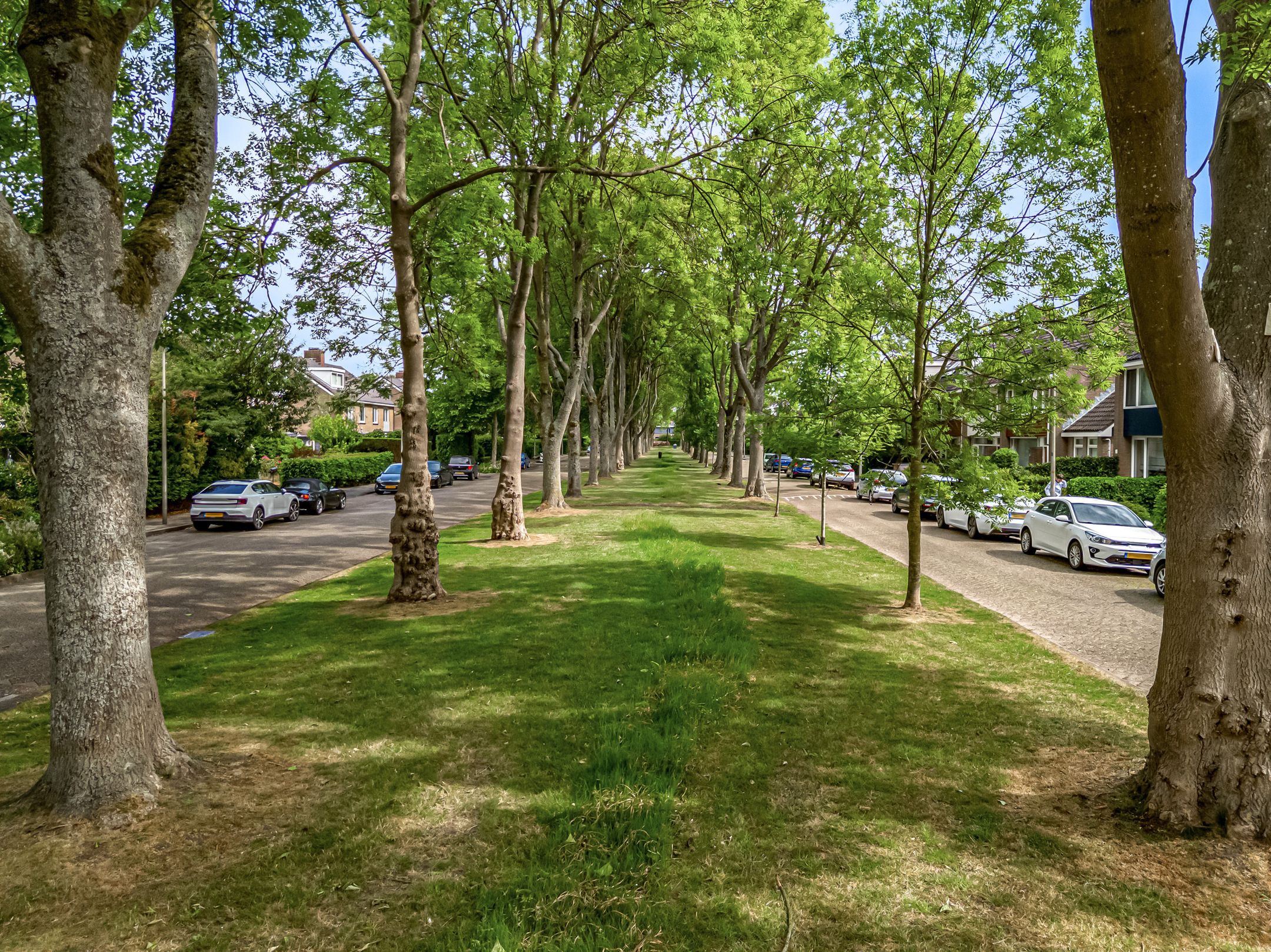 Foto 24 van Willem Klooslaan 63