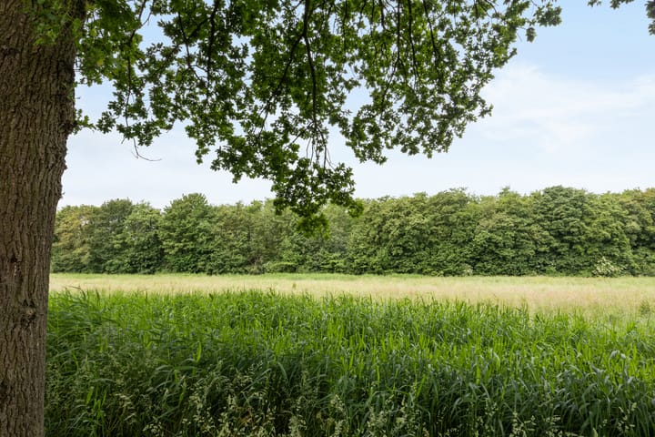 Foto 32 van Tullensstraat 17