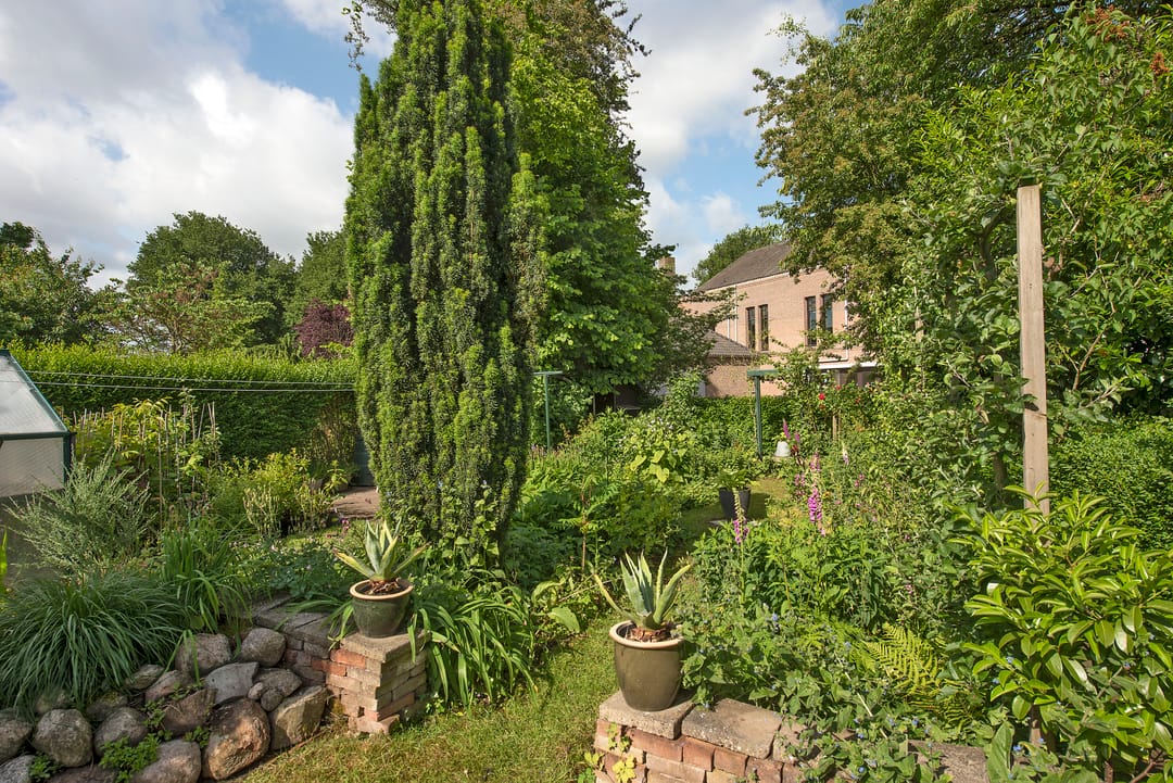 Photo 46 of Wilbertstraat 13