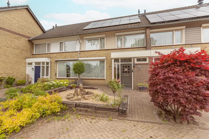 Photo 1 of Bruine Berk 7