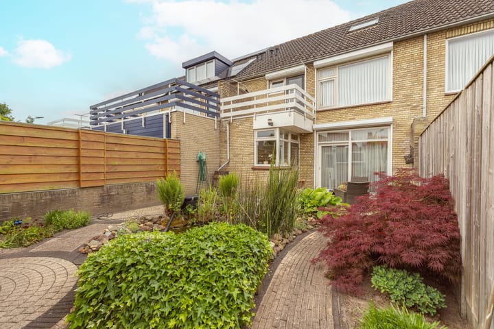 Photo 4 of Bruine Berk 7