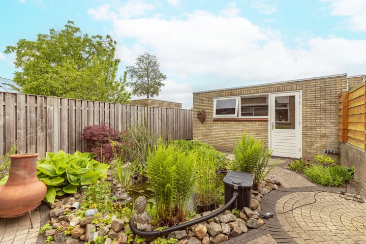 Photo 32 of Bruine Berk 7