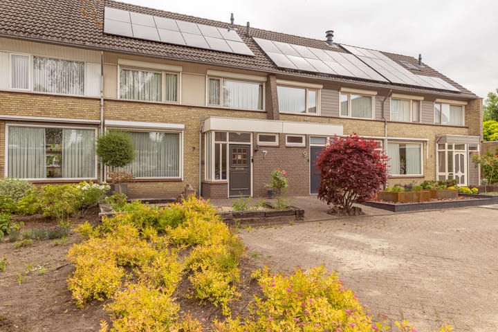 Photo 36 of Bruine Berk 7