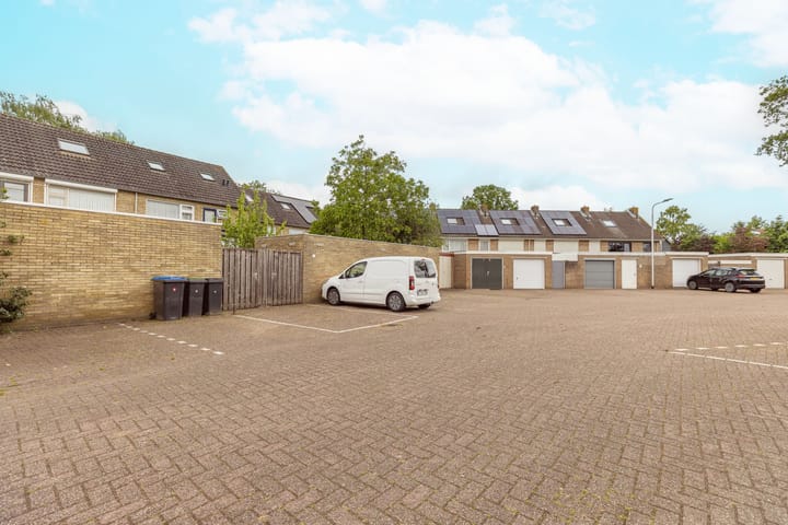 Photo 38 of Bruine Berk 7