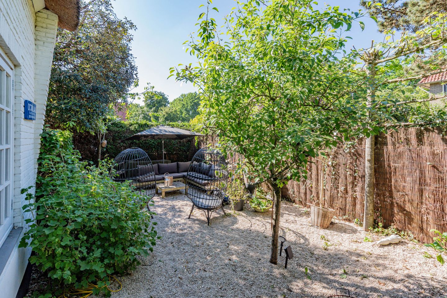 Foto 4 van Tweede Molenweg 45