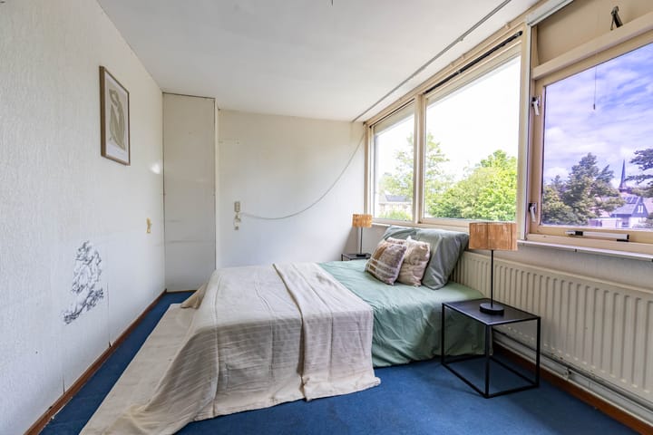 Foto 15 van Patrijs 14