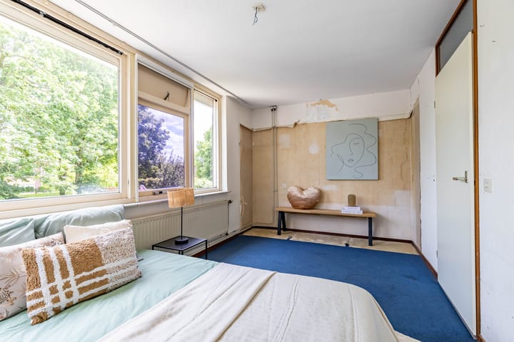 Foto 16 van Patrijs 14